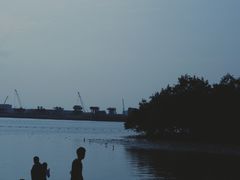 -宝安西湾红树林湿地公园