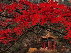 -崂山九水游览区