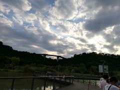 -飞凤山奥体公园