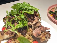 -百好乐宠物友好餐厅(朝外大街店)