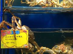 -蚝专家(北滘店)
