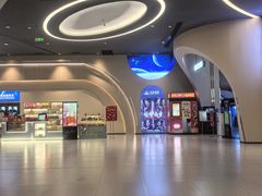 -万达影城(汉街万达广场IMAX店)