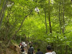 -敬亭山风景名胜区