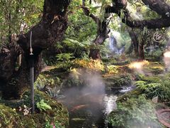 -Chom Cafe and Restaurant