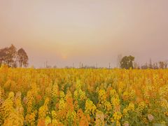 -中国天府农业博览园