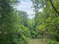 -桤木河湿地公园