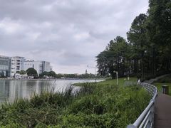-美兰湖景区