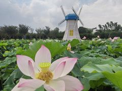 -武汉紫薇都市田园