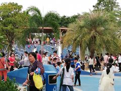 -宝安西湾红树林湿地公园