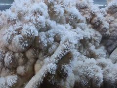 -湖南省地质博物馆