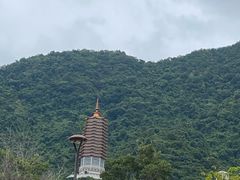 -深圳仙湖植物园