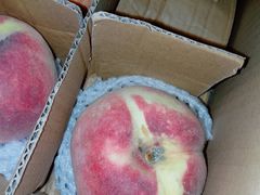 雪桃-水果天空(东葛店)