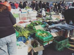 -韩家墅海吉星农产品批发市场