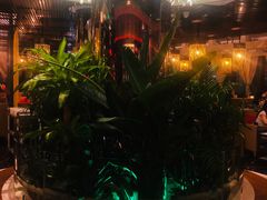 -润园四季椰子鸡火锅(海上世界店)