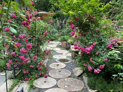 -谷咖啡·鲜花绿植花园餐厅