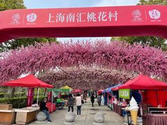 -南汇桃花村