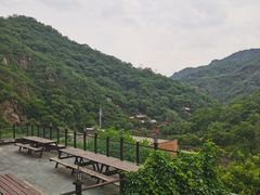 -Local泰莲庭(虹鳟鱼店)