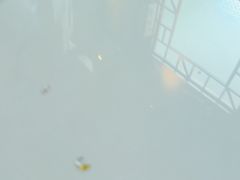 -7017浙菜•建德味(市心北路店)