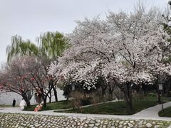 -唐城墙遗址公园