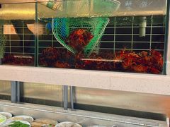 -毛哥小馆子(百井坊巷店)