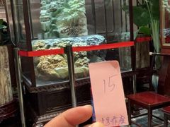 -燕春楼(海河华鼎店)