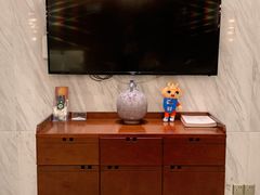 -郑州新郑国际机场T2航站楼-贵宾厅B区