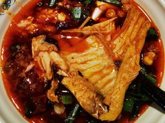 -蛙蛙鸡冷锅鱼(驷马桥店)