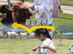 -栖露营camping·天幕烧烤·团建拓展·采摘营地