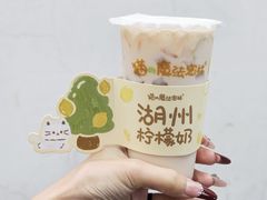 柠檬奶-猫的魔法密林(衣裳街店)