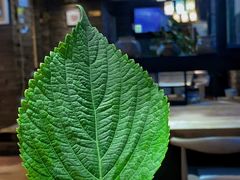 -向阳庄烧烤店(望京西园店)