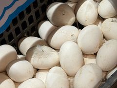 -单家老院·院子里的青岛菜(沙子口店)