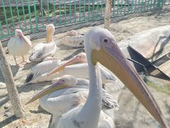 -水上乐园·欢乐世界