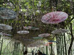 -苏州太湖国家湿地公园