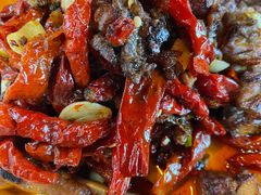 -柴窝堡22号辣子鸡·传承新疆菜