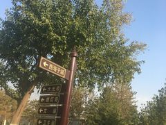 -西海子公园