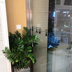 -THE LOG SALON 记录