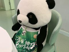 -眉州东坡·熊猫主题餐厅(枫蓝店)