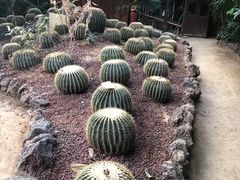 -呀路古热带植物园