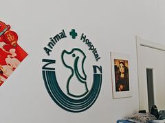 -中农国际动物医院24小时·猫科·骨科·急重症中心