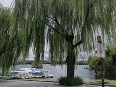 -长春市南湖公园