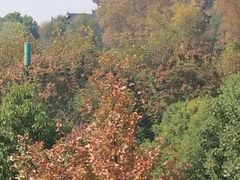 -武汉马哥孛罗酒店