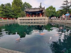 -百脉泉景区