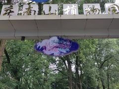 -南山植物园