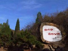 -白水寺森林公园