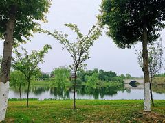 -眉山湿地公园(东坡区)