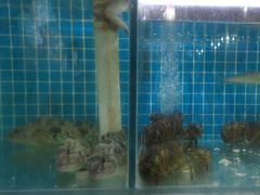 -崂山水果园农家宴(泉水鸡店)
