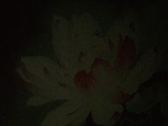 -东方之珠洗浴休闲广场(和平店)