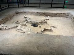 -洛阳周王城天子驾六博物馆