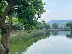 -满記土窑烧鷄波浪山莊