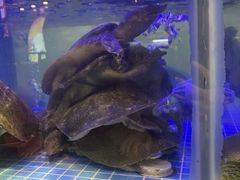 -王捌小院(红花坡店)